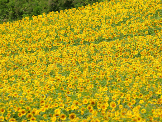589353 (a): :1600x1200